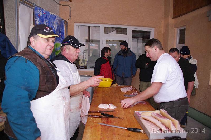 svab_disznovagas_torokbalint_2014_046.jpg