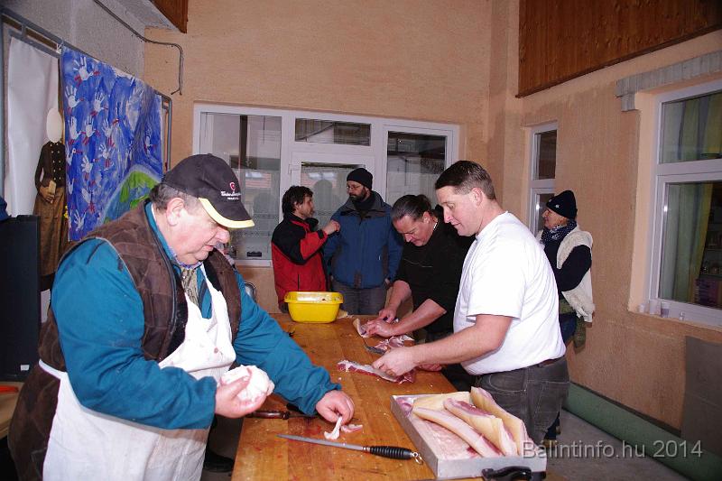 svab_disznovagas_torokbalint_2014_047.jpg