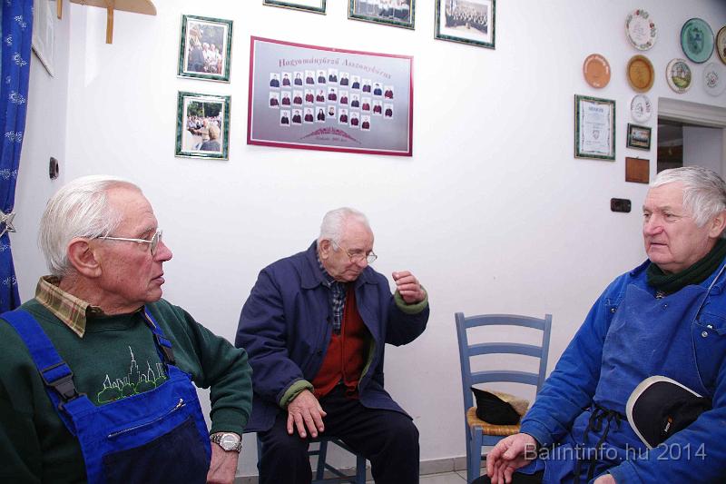svab_disznovagas_torokbalint_2014_051.jpg