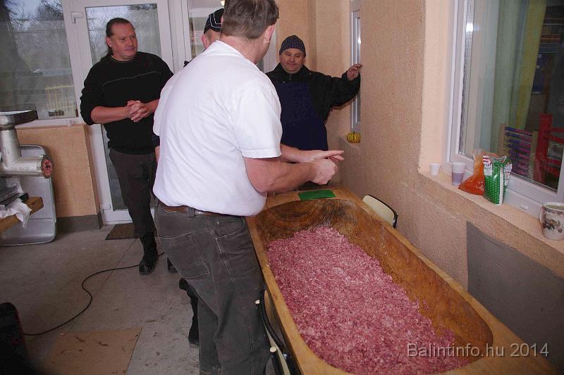 svab_disznovagas_torokbalint_2014_052.jpg