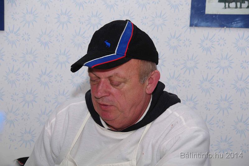 svab_disznovagas_torokbalint_2014_060.jpg