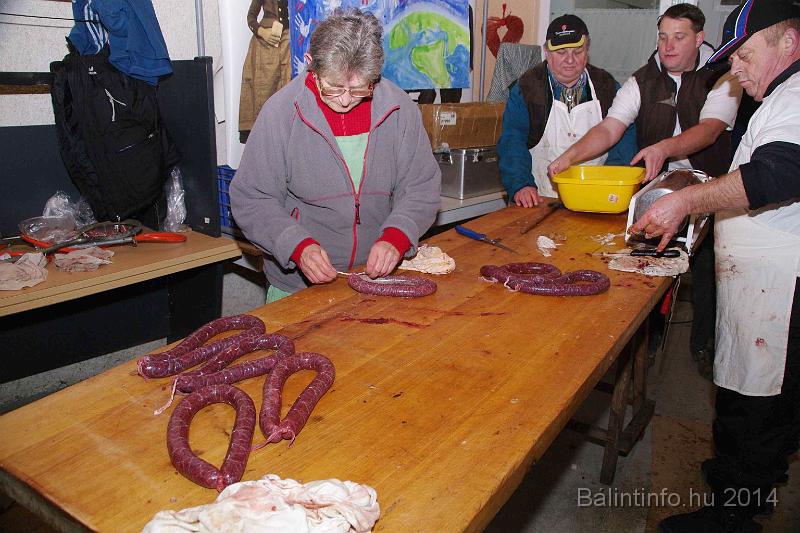svab_disznovagas_torokbalint_2014_071.jpg