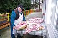 svab_disznovagas_torokbalint_2014_026