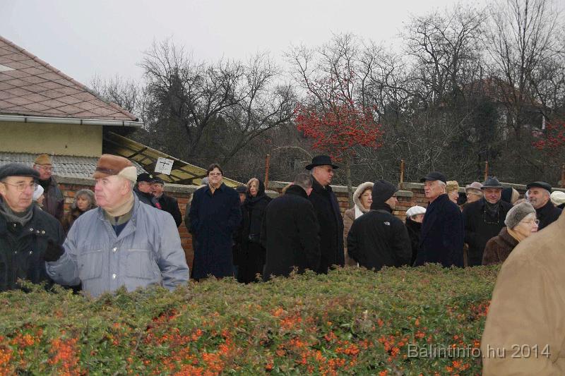 svab_kitelepites_torokbalint_2014_003.JPG