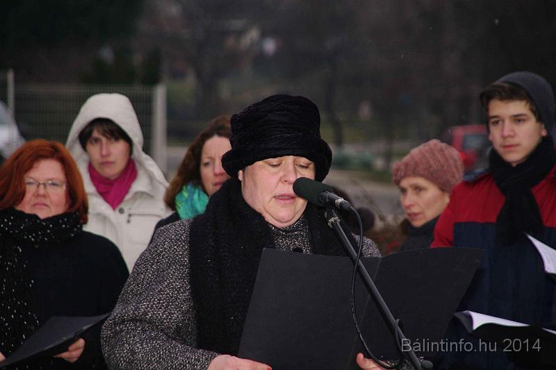 svab_kitelepites_torokbalint_2014_013.JPG