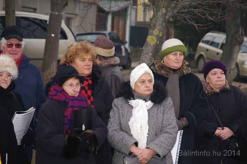 svab_kitelepites_torokbalint_2014_023.JPG