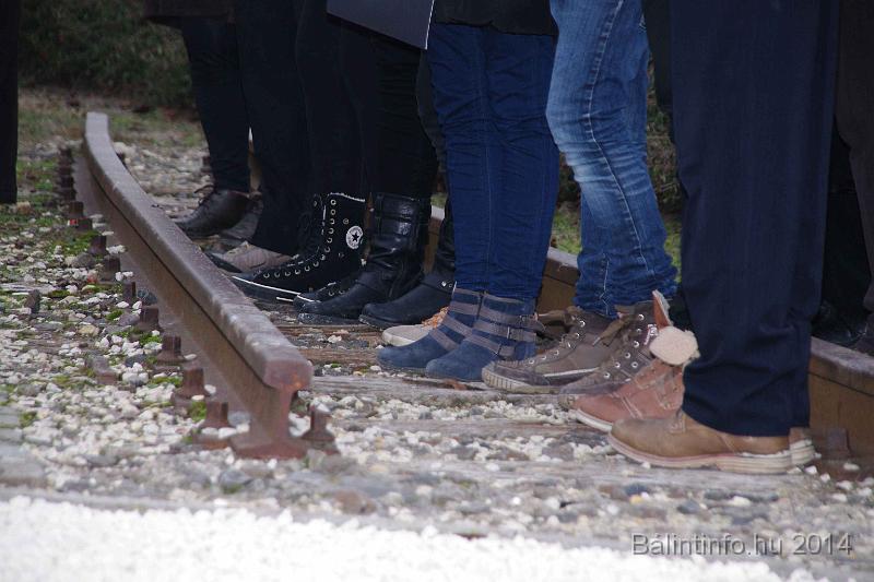 svab_kitelepites_torokbalint_2014_034.JPG