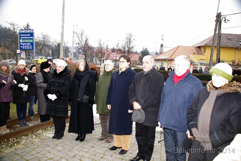 svab_kitelepites_torokbalint_2014_038.JPG