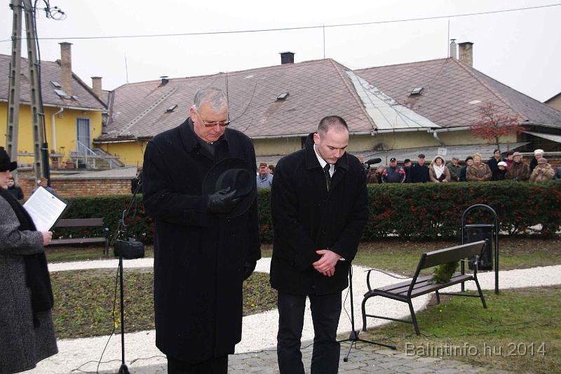 svab_kitelepites_torokbalint_2014_046.JPG