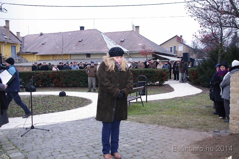 svab_kitelepites_torokbalint_2014_048.JPG