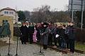 svab_kitelepites_torokbalint_2014_006