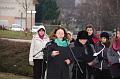 svab_kitelepites_torokbalint_2014_030