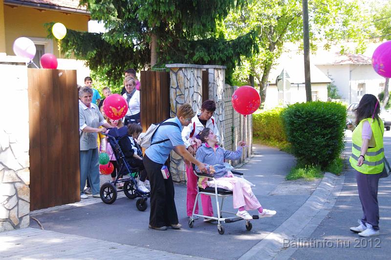 tabita_batorsagmenet_2012_003.jpg