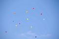 tabita_batorsagmenet_2012_028