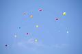 tabita_batorsagmenet_2012_029