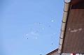 tabita_batorsagmenet_2012_030