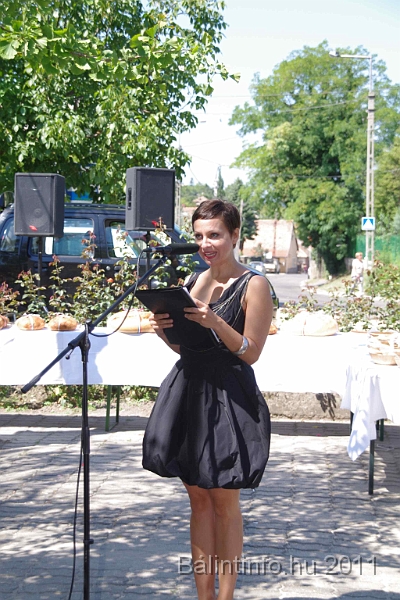 torokbalint_aug20_2011_014.jpg