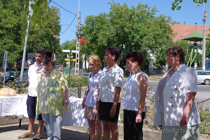 torokbalint_aug20_2011_031.jpg