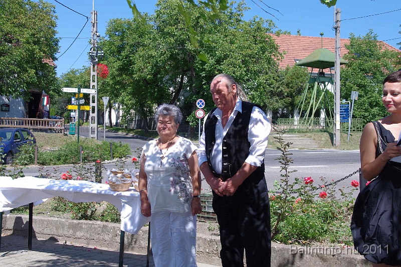 torokbalint_aug20_2011_034.jpg