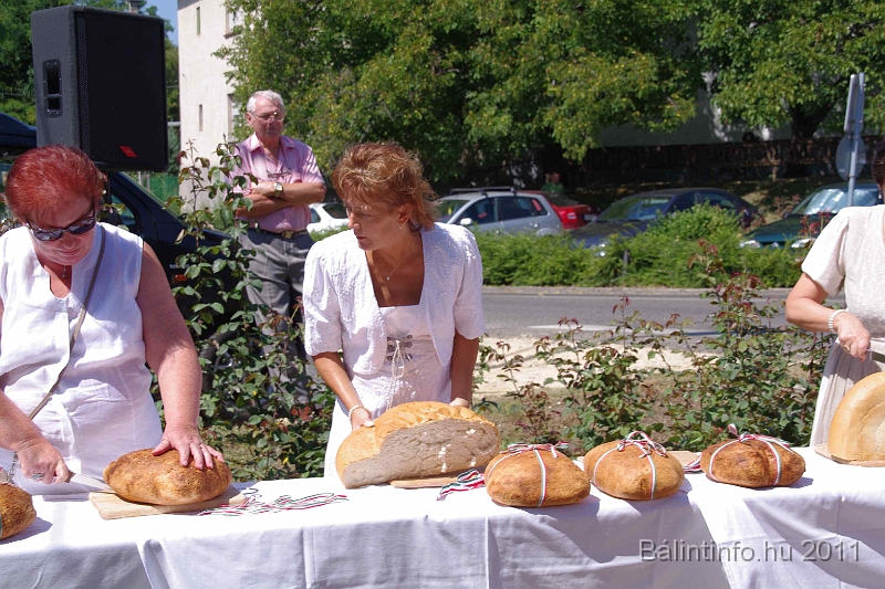 torokbalint_aug20_2011_050.jpg