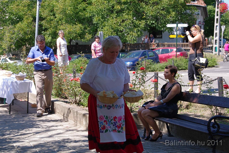 torokbalint_aug20_2011_055.jpg