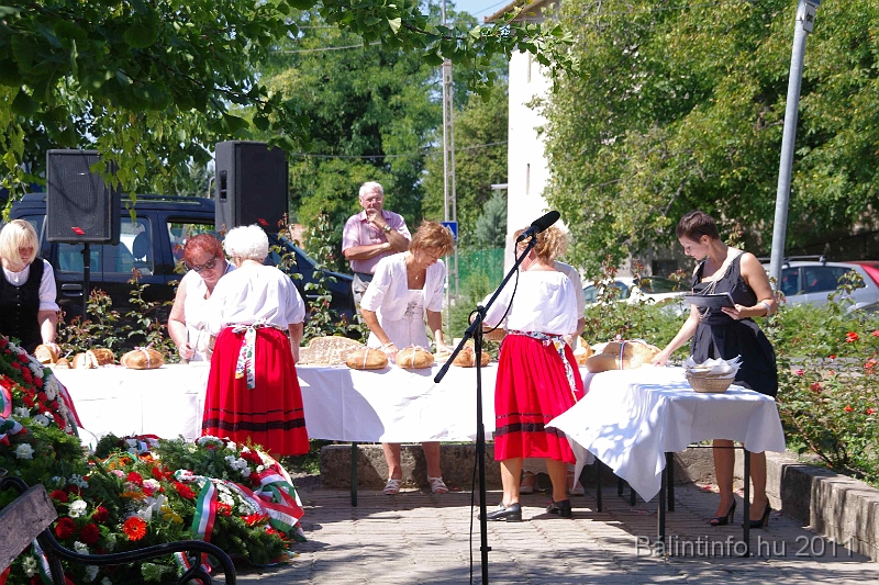 torokbalint_aug20_2011_056.jpg