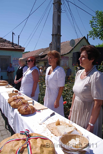 torokbalint_aug20_2011_066.jpg