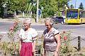 torokbaint_augusztus_20_unnepseg_2012_040