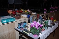 katalinbal_2010_001