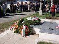 koszoruzas_2008_14