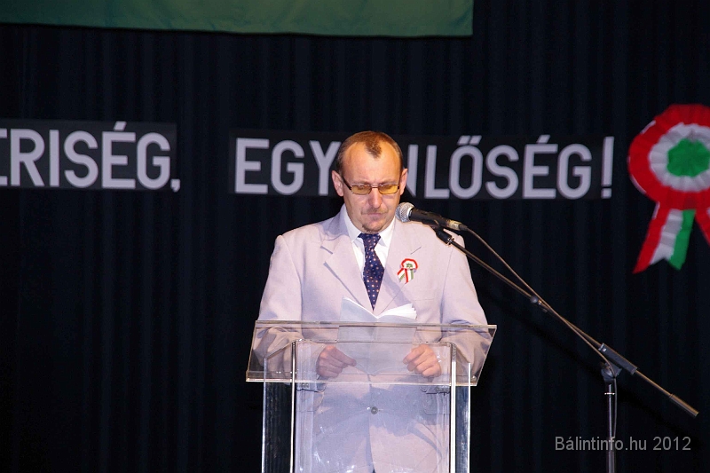 torokbalint_marcius15_2012_024.jpg