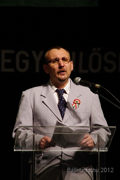 torokbalint_marcius15_2012_032.jpg