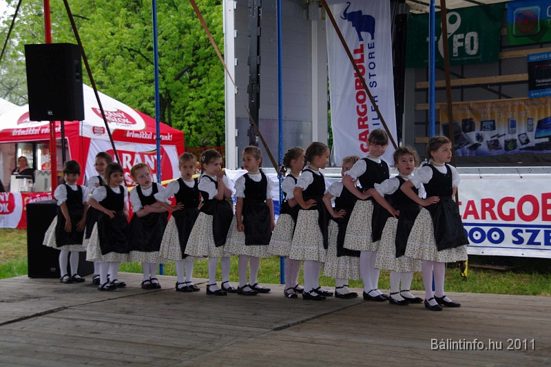 torokbalinti_varosi_majalis_2011_0012.jpg