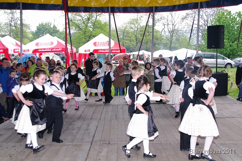 torokbalinti_varosi_majalis_2011_0025.jpg