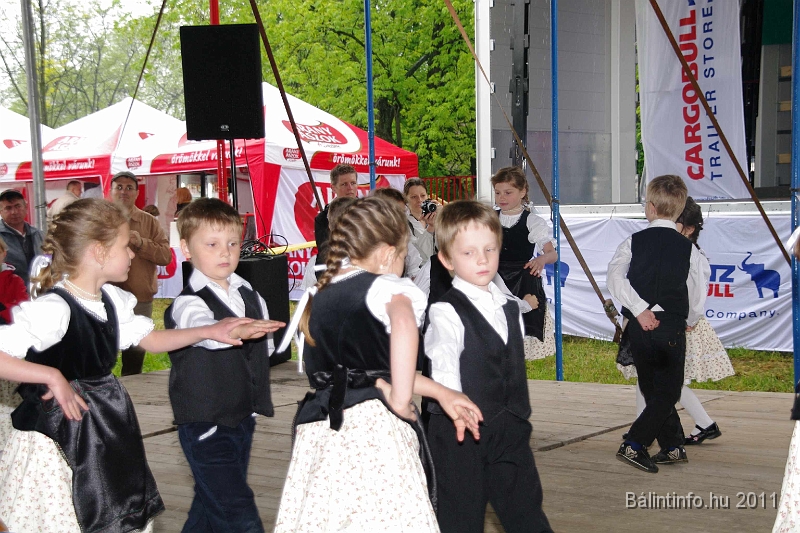 torokbalinti_varosi_majalis_2011_0028.jpg