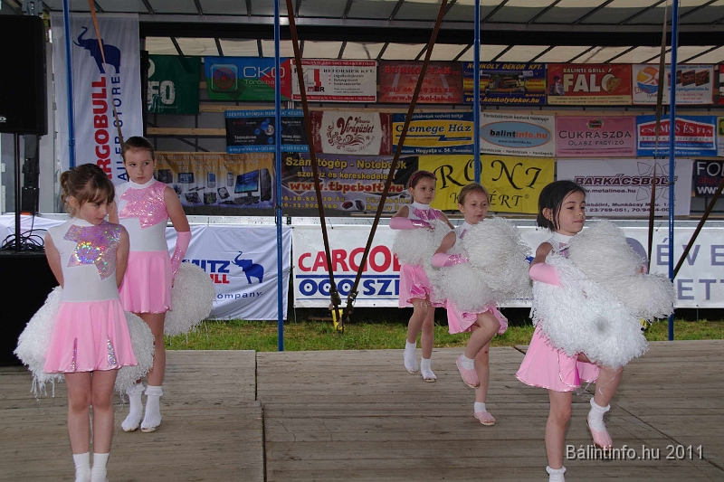 torokbalinti_varosi_majalis_2011_0049.jpg