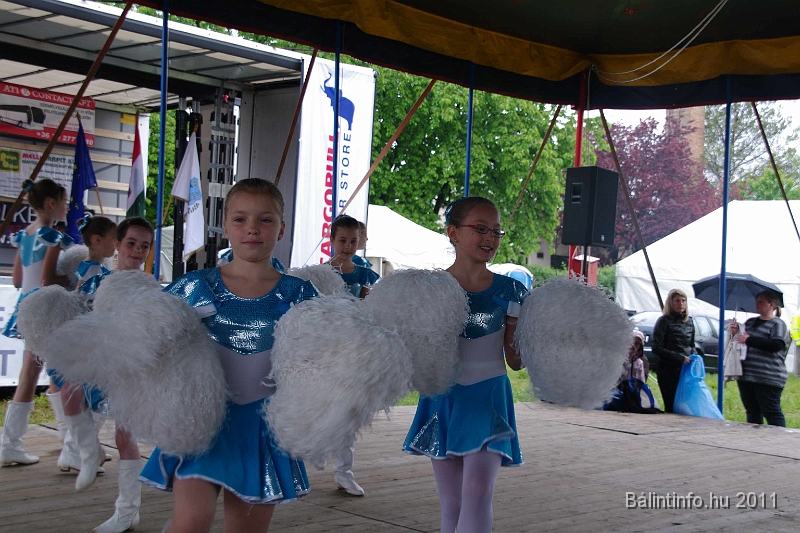 torokbalinti_varosi_majalis_2011_0054.jpg