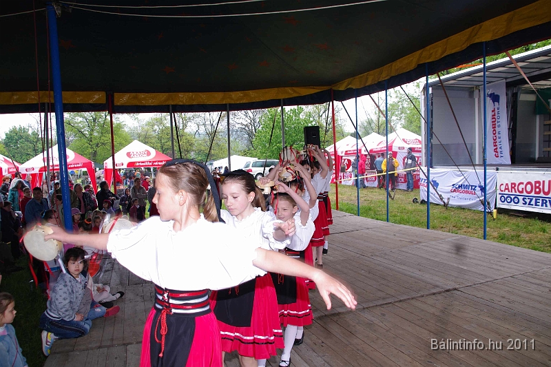 torokbalinti_varosi_majalis_2011_0058.jpg