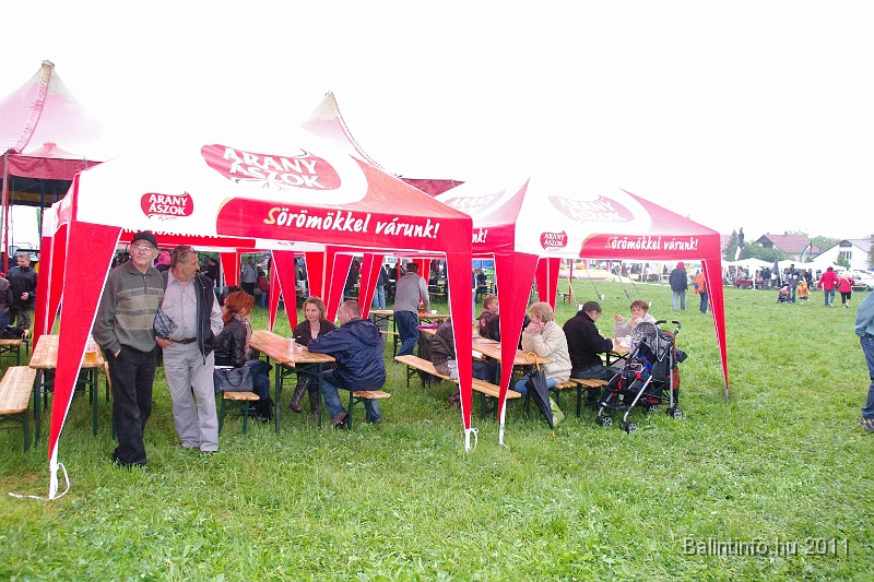 torokbalinti_varosi_majalis_2011_0089.jpg