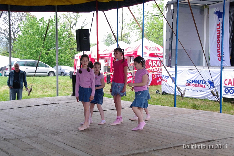 torokbalinti_varosi_majalis_2011_0122.jpg
