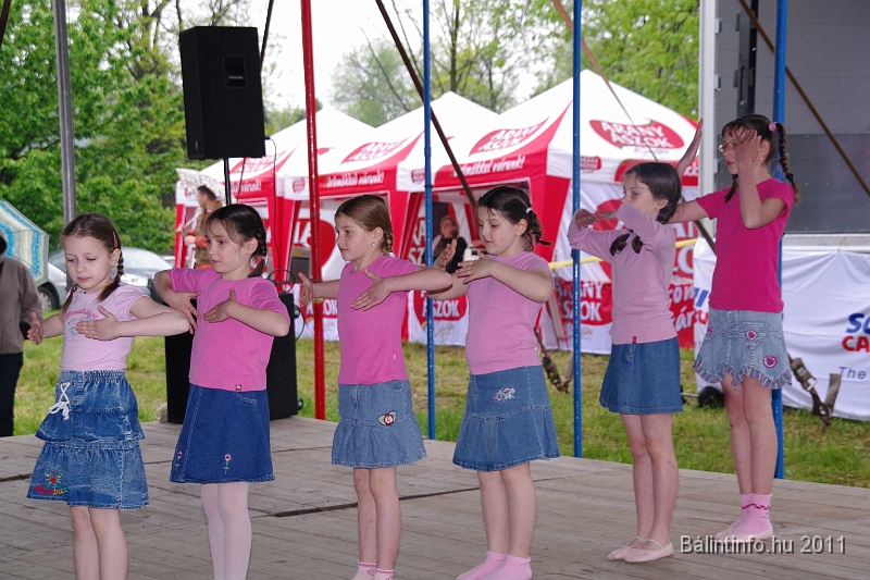 torokbalinti_varosi_majalis_2011_0123.jpg