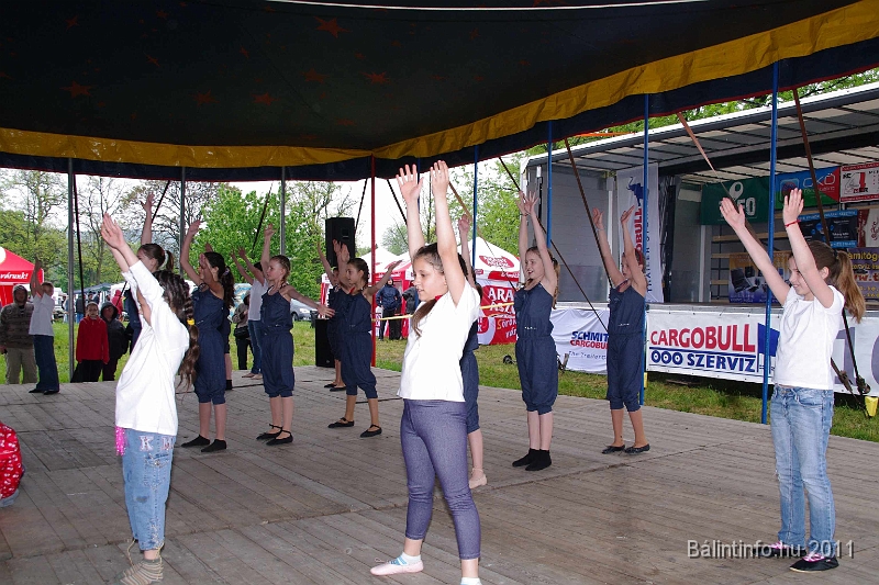 torokbalinti_varosi_majalis_2011_0124.jpg