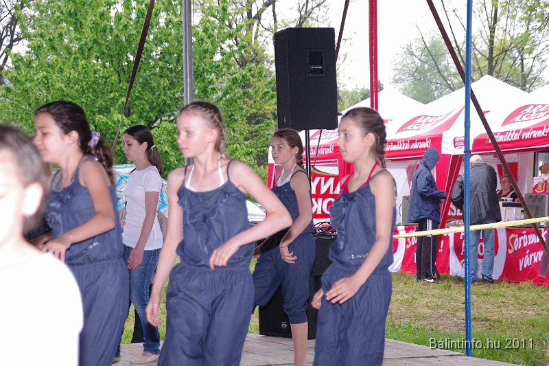 torokbalinti_varosi_majalis_2011_0125.jpg