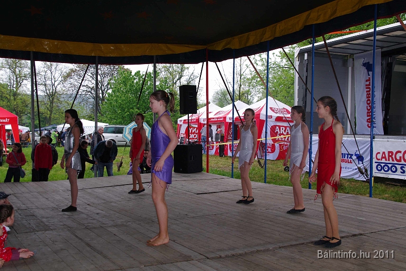 torokbalinti_varosi_majalis_2011_0129.jpg