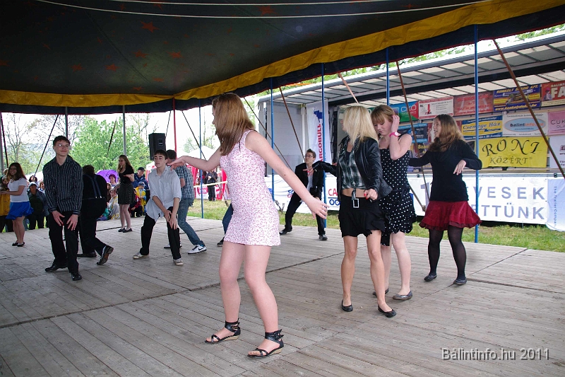 torokbalinti_varosi_majalis_2011_0166.jpg