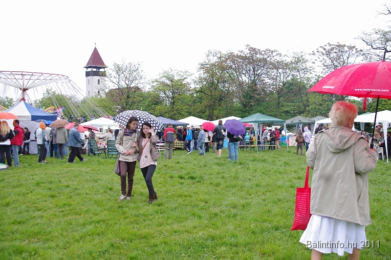 torokbalinti_varosi_majalis_2011_0179.jpg