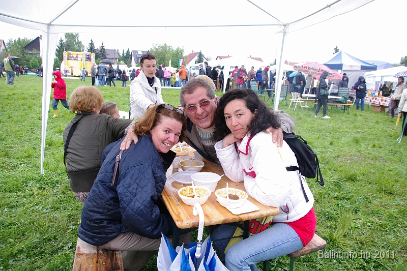 torokbalinti_varosi_majalis_2011_0202.jpg