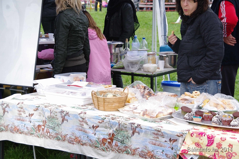 torokbalinti_varosi_majalis_2011_0206.jpg