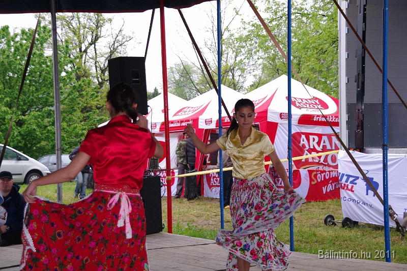 torokbalinti_varosi_majalis_2011_0225.jpg