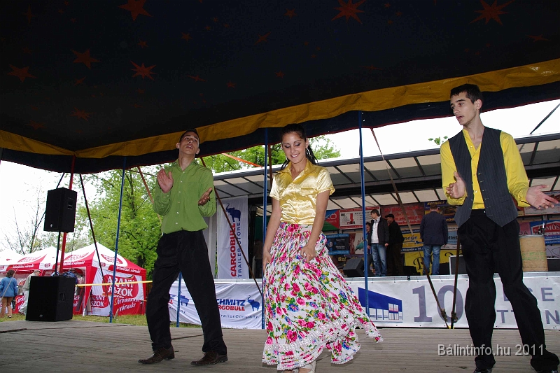 torokbalinti_varosi_majalis_2011_0226.jpg